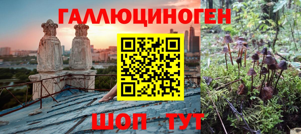 Псилоцибиновые грибы прущие грибы Архангельск